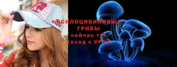 PSILOCYBIN Нязепетровск