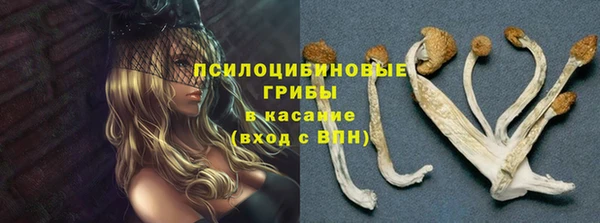 a pvp Арсеньев