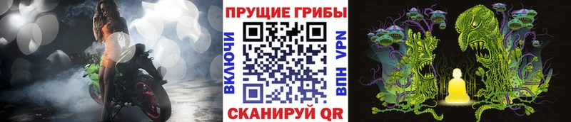 гидра вход Покров Псилоцибиновые грибы прущие грибы